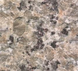 黃蝴蝶[花崗岩品種]