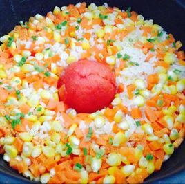 一隻番茄飯 一隻番茄飯