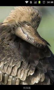 公元3000年的地球新物種