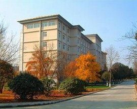 體·研究所 體·研究所