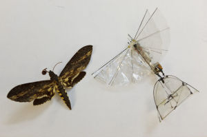 機械蝴蝶 機械蝴蝶