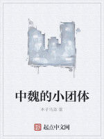 中魏的小團體 中魏的小團體