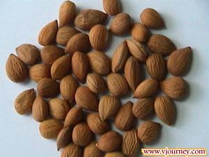 杏仁