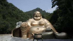 千島湖林海歸真 千島湖林海歸真