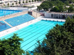 泳池旁的樹叢林英