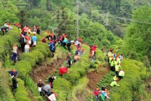 古村坪村 古村坪村