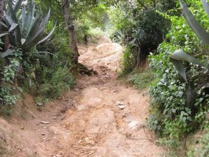 羊窩子自然村 羊窩子自然村