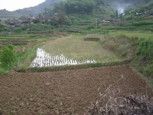 下啊寬自然村 下啊寬自然村