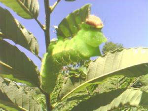 二道溝村民組 二道溝村民組