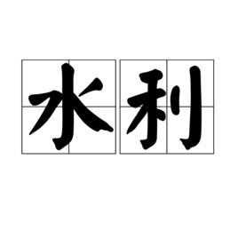 水利[漢語詞語]