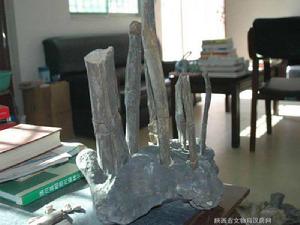 洛川西溝古動植物化石 洛川西溝古動植物化石