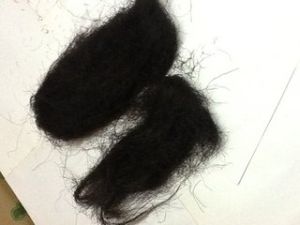 杭州髮菜 杭州髮菜