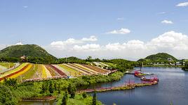 深圳茶溪谷 深圳茶溪谷