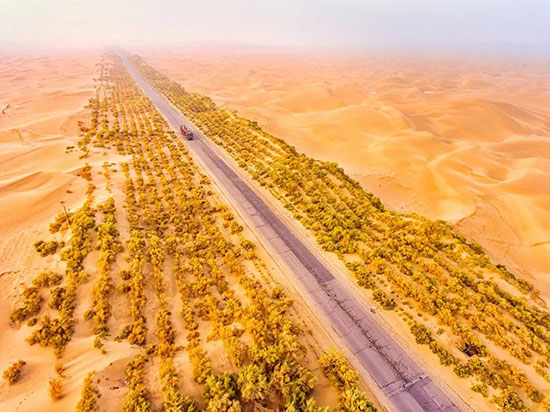 一生一定要走一次,這條穿越沙海的公路秋天自駕美爆了。