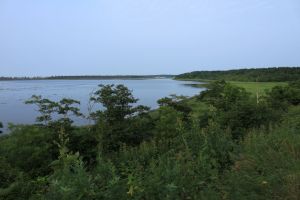 日本根室市 日本根室市