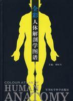 全彩人體解剖學圖譜 全彩人體解剖學圖譜