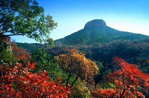 抱犢崮傳說 抱犢崮傳說