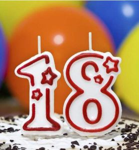 十八歲[網路流行語]