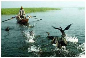 白洋淀漁人樂園景區