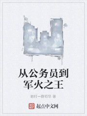 從公務員到軍火之王 從公務員到軍火之王