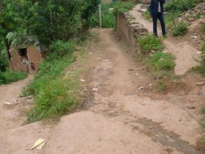 莊坪自然村 莊坪自然村