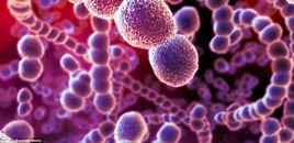 外星細菌 外星細菌