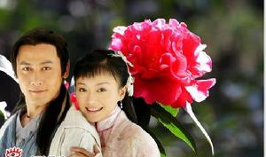 《護花奇緣》劇照