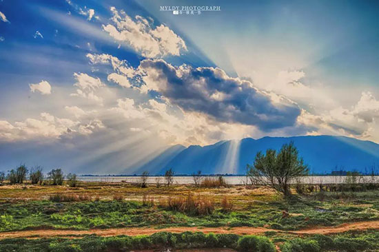 我在大理，等風等雨也等你。