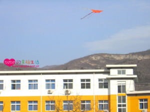 北京市門頭溝區潭柘寺中心國小 北京市門頭溝區潭柘寺中心國小