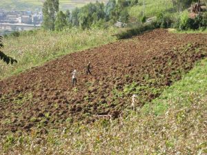 安定大水井村 安定大水井村