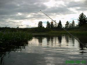 （圖）阿爾岡金省立公園