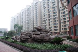 新科花園 新科花園