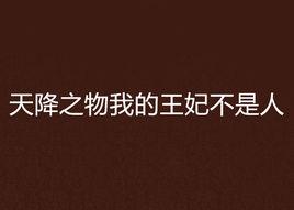 天降之物我的王妃不是人 天降之物我的王妃不是人
