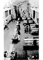 倫敦地質博物館 倫敦地質博物館