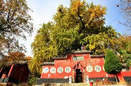海螺寺[山東省臨沂市平邑縣海螺寺]