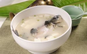 鯽魚豆腐菌湯 鯽魚豆腐菌湯
