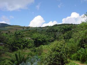 下忙糯自然村全貌