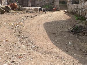 月亮田村[雲南宣威市海岱鎮下轄村]