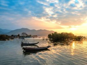 江洲鷺影 江洲鷺影