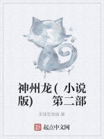 神州龍(小說版) 第二部