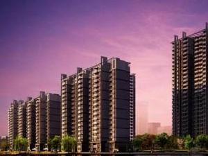 春曉金水灣 春曉金水灣