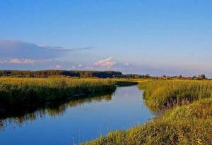 納雷夫河 納雷夫河