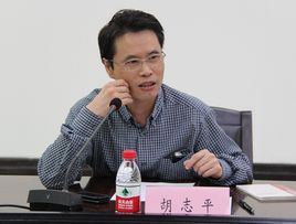 胡志平[長安大學建築工程學院教授]