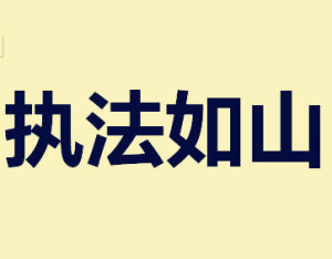 執法如山 執法如山