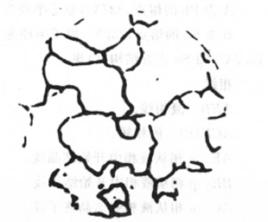 晶內偏析 晶內偏析