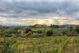 tuscany[義大利的一個大區]