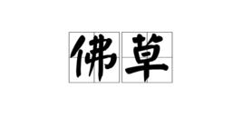 佛草 佛草