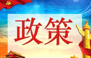 小升初政策 小升初政策