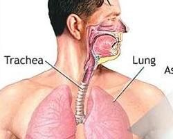 呼吸急促 呼吸急促