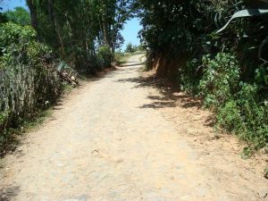 海子汪自然村 海子汪自然村